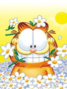 Garfield.jpg