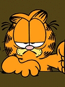Garfield2.jpg